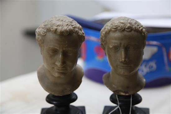 A set of four early 19th century Grand Tour alabaster Heads of Caesar 7in.